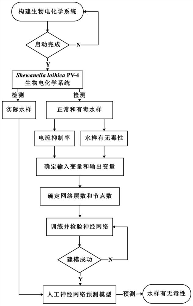 Water quality biotoxicity prediction method based on artificial neural network