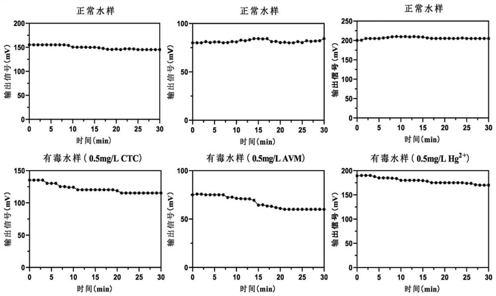 Water quality biotoxicity prediction method based on artificial neural network