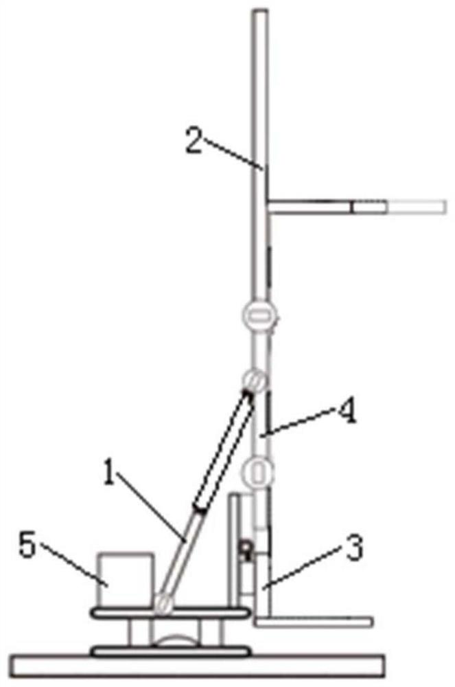 Rehabilitation training apparatus