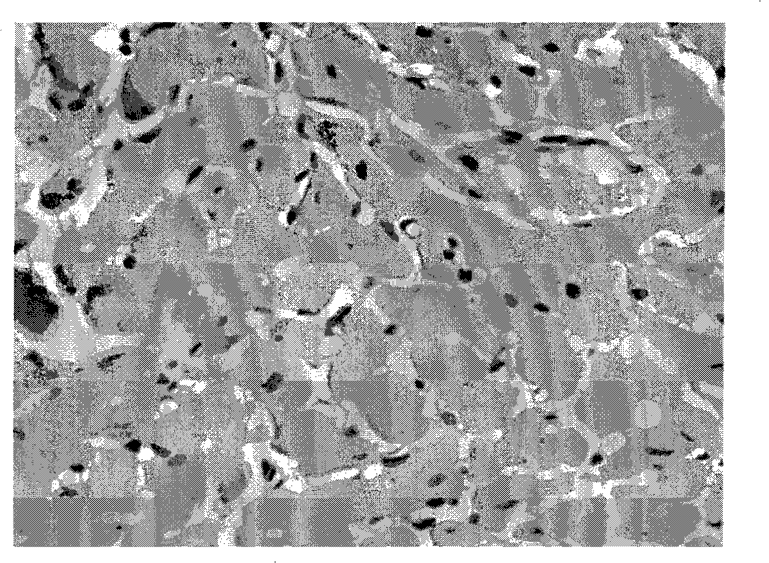 Anti-myocardial remodelling polypeptide, preparation method thereof, preparations and application thereof in preparation of anti-myocardial remodelling medicament