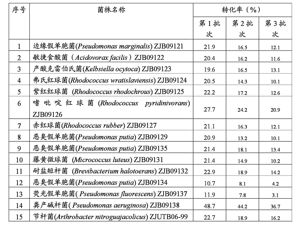 Rhodococcus rhodochrous and use thereof as catalyst for use in preparation of iminodiacetic acid from iminodiacetonitrile