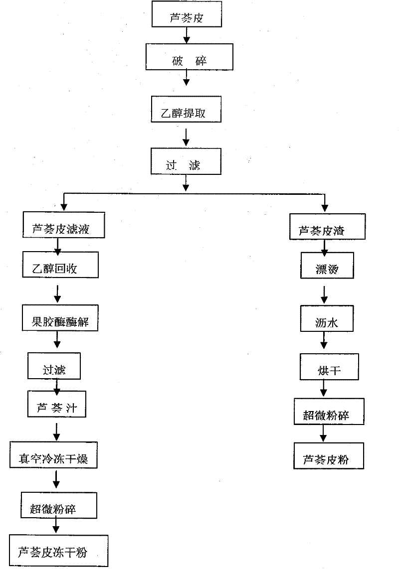 Comprehensive utilization aloe skin processing method