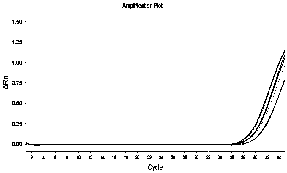 Nucleic acid extraction kit and application method thereof