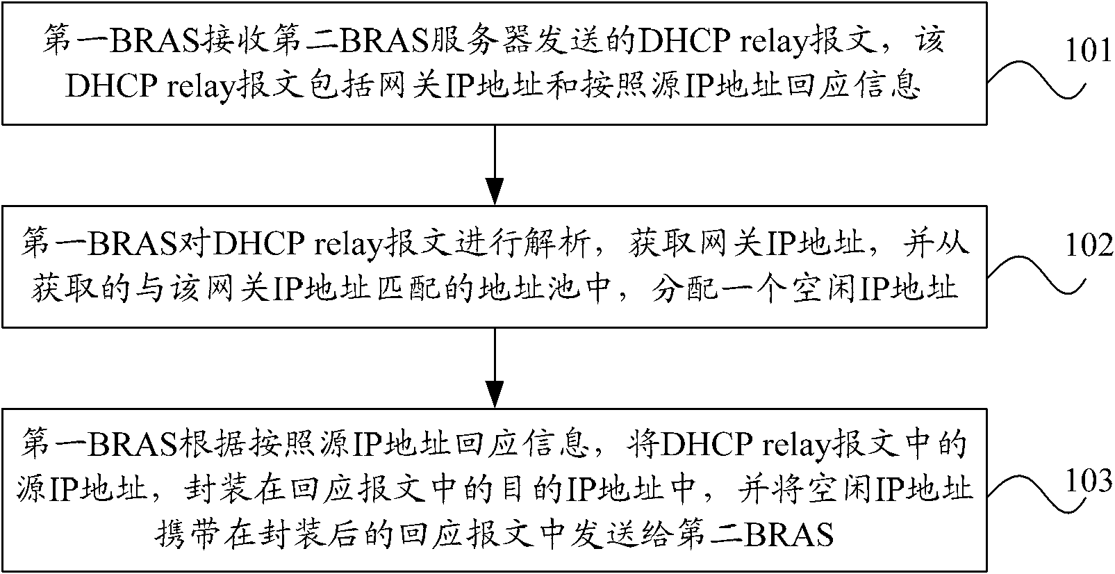 Address allocation processing method, device and system