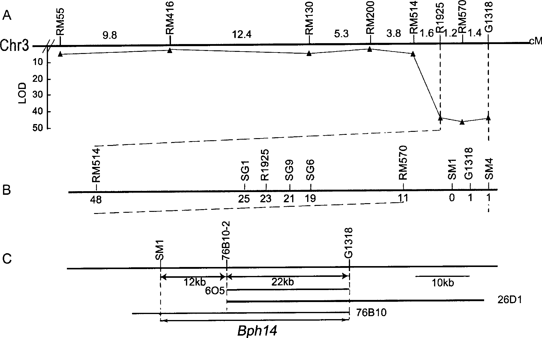 Brown planthopper resistant gene in rice and use thereof