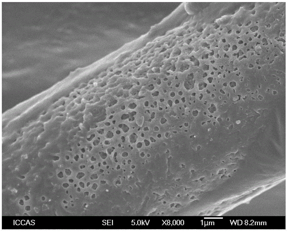 Water collection application of porous fine-denier nylon fiber