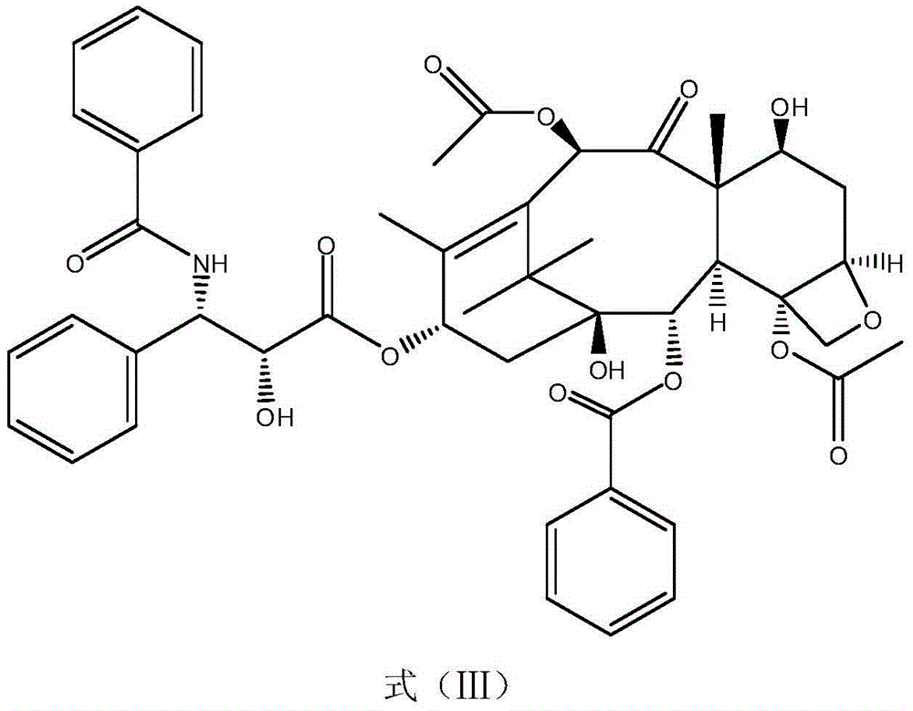 Paclitaxel immunogen, anti-paclitaxel specific antibody and paclitaxel detection reagent