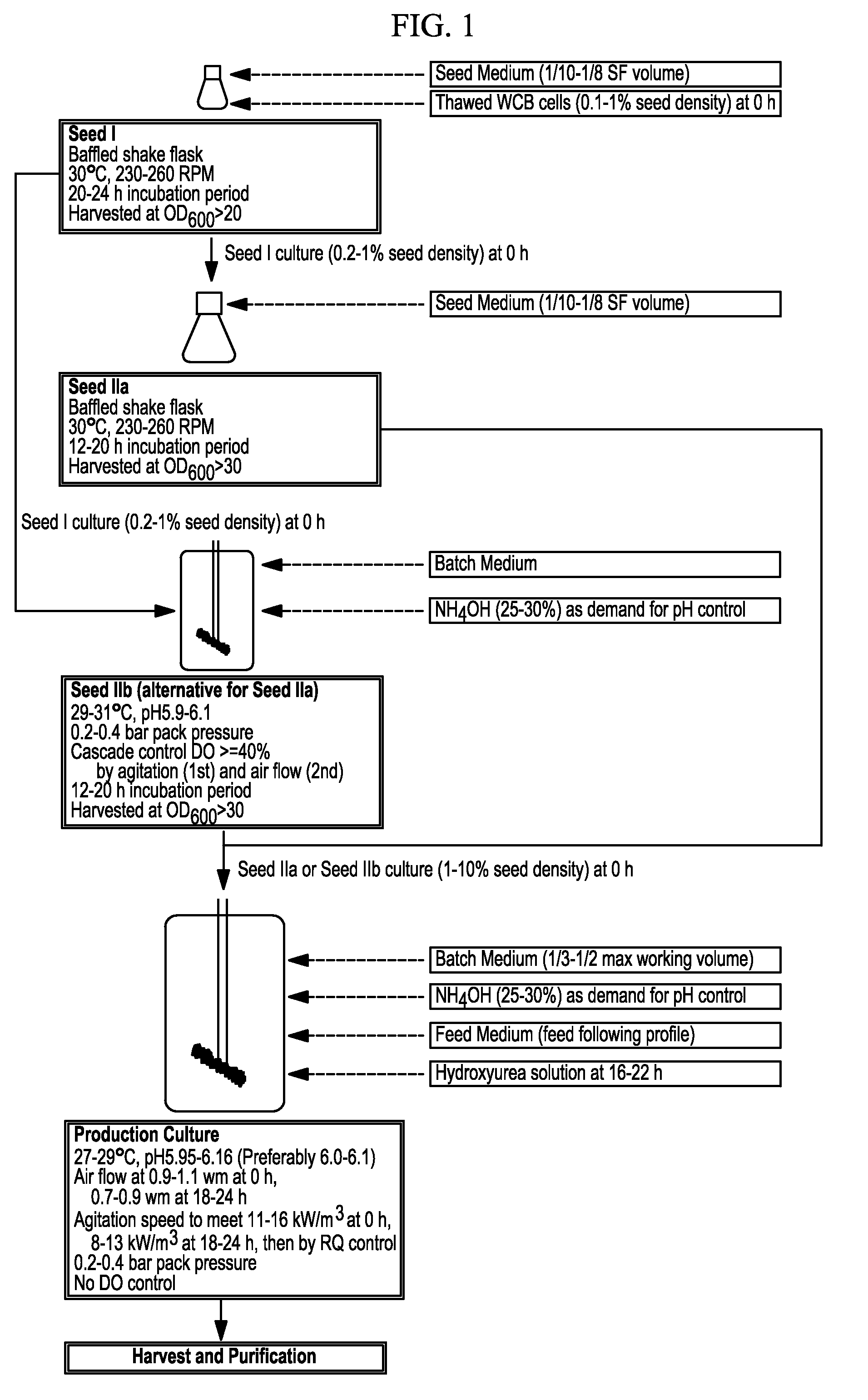 Methods for producing antibodies