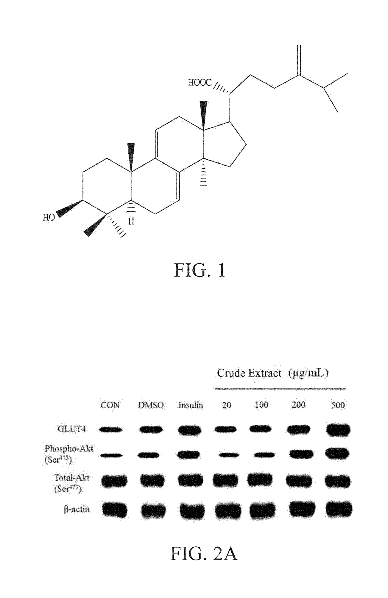 Use of pure compounds extracted from antrodia camphorata