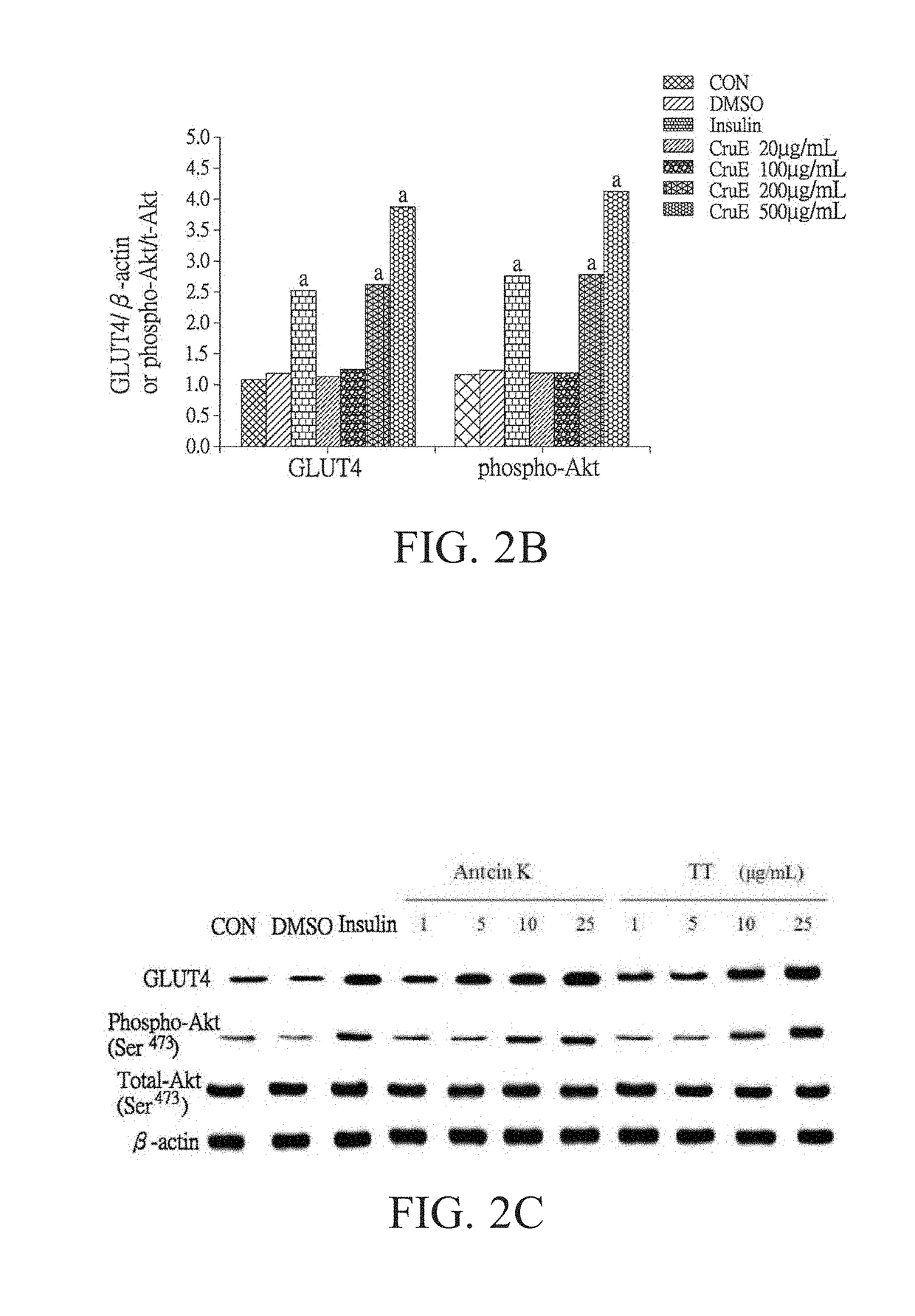 Use of pure compounds extracted from antrodia camphorata