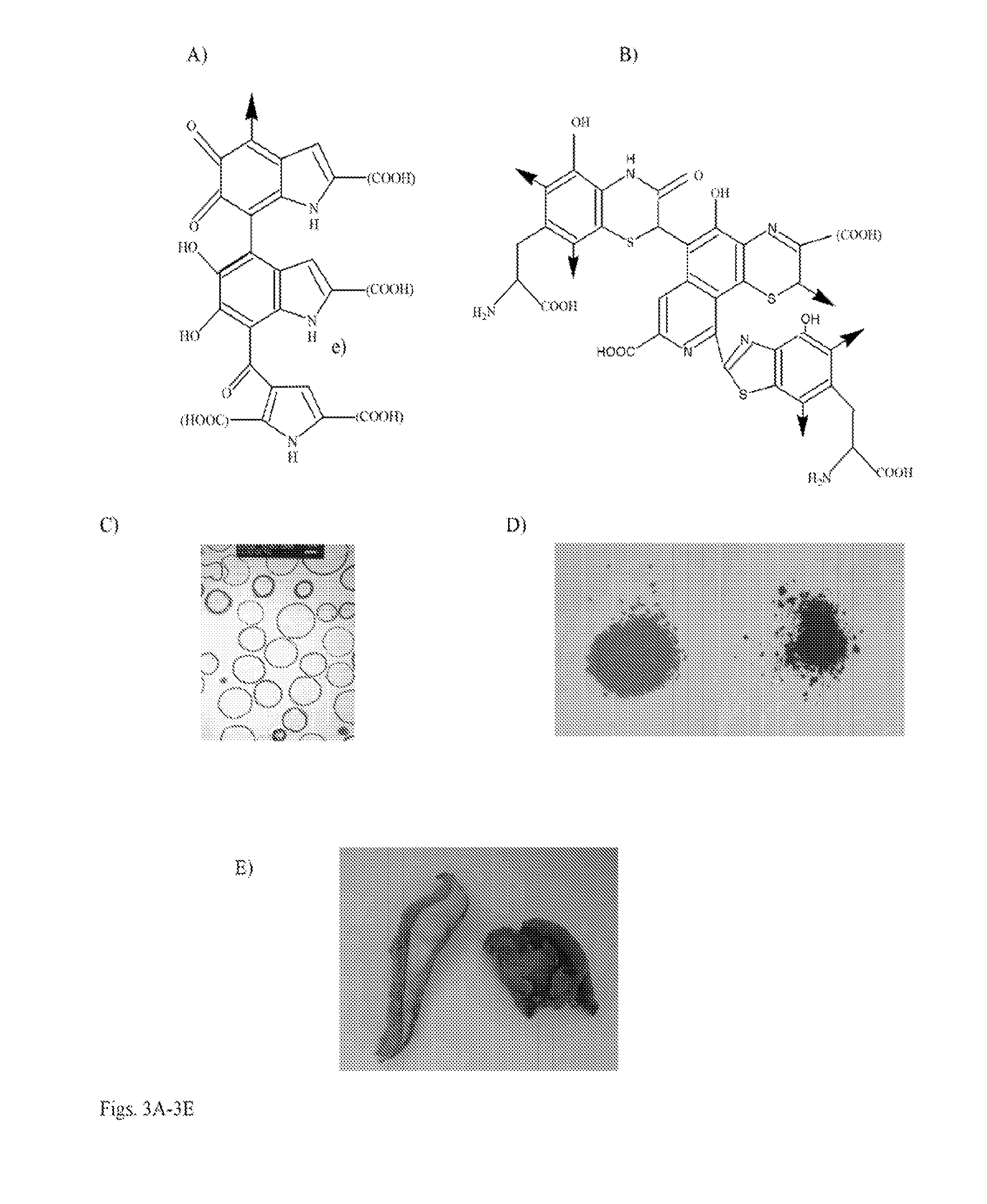 Oral administration of melanin for protection against radiation