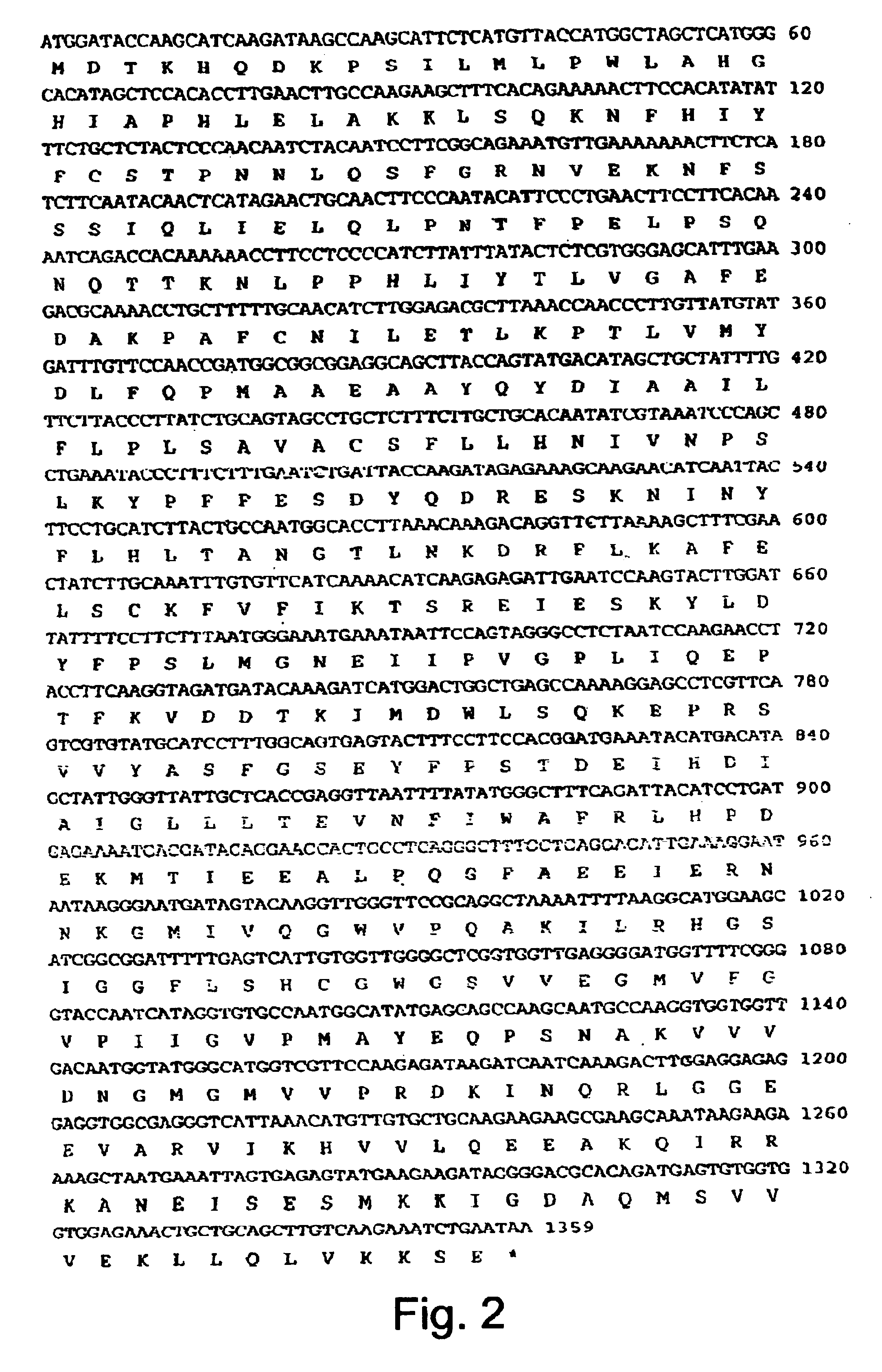 Rhamnosyl-transferase gene and uses thereof