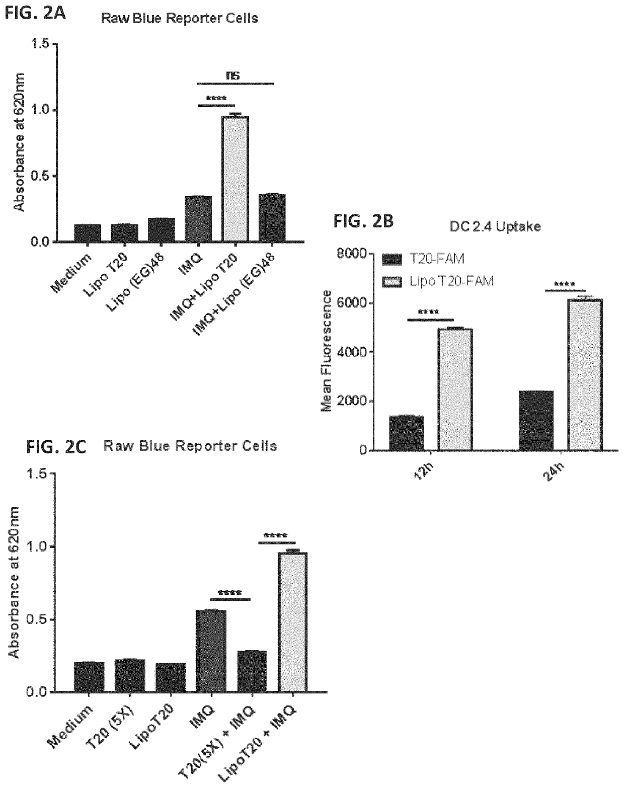 Amphiphilic oligodeoxynucleotide conjugates as adjuvant enhancers