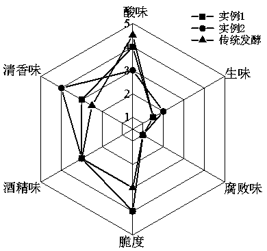 Preparation method of slightly fermented modern pickled vegetables