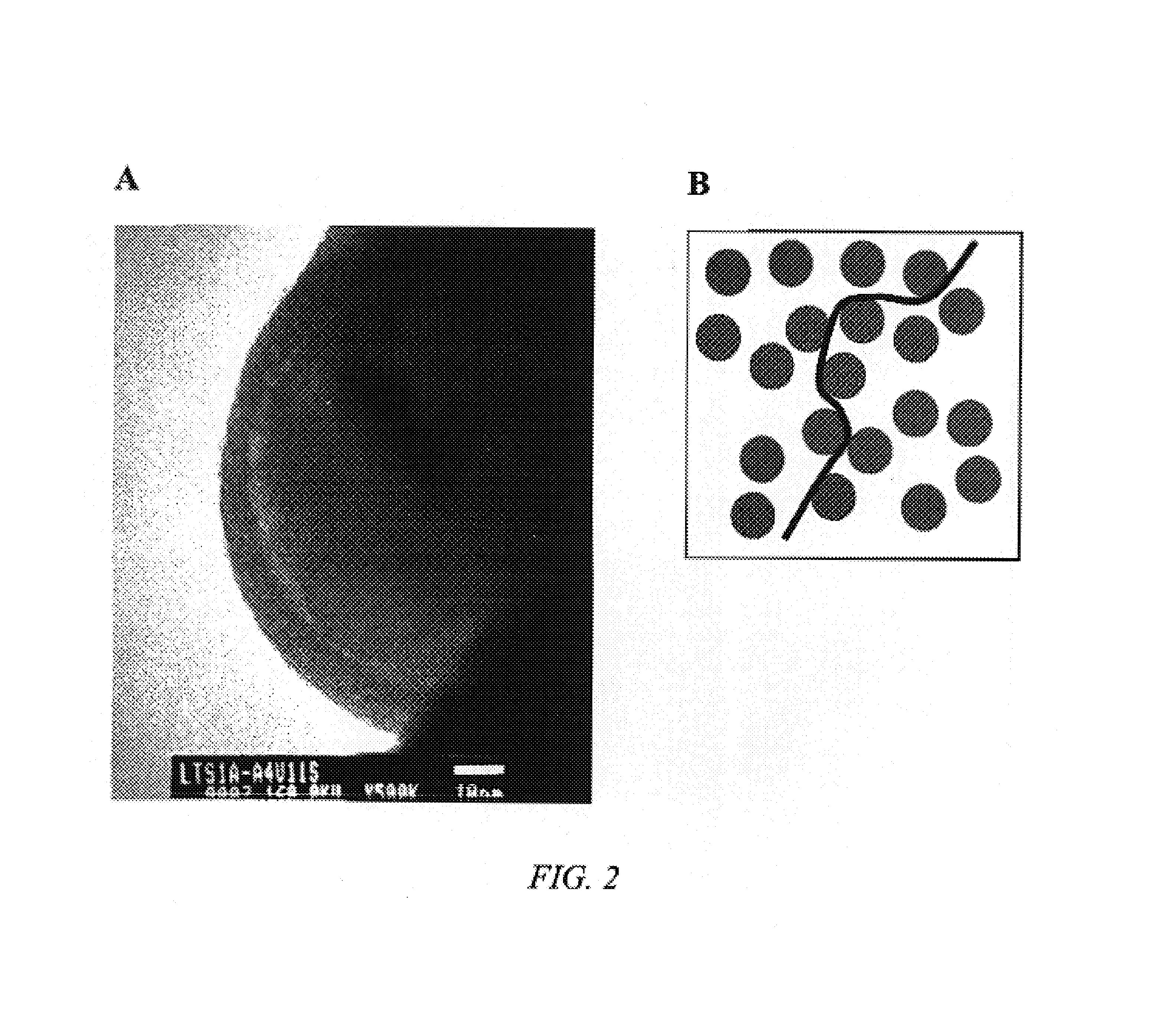 Fabrication of reinforced composite material comprising carbon nanotubes, fullerenes, and vapor-grown carbon fibers for thermal barrier materials, structural ceramics, and multifunctional nanocomposite ceramics