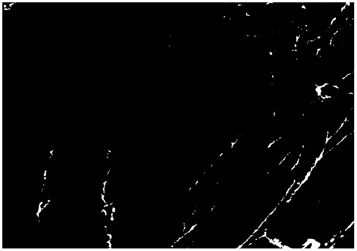 Biomass-based super-hydrophobic paper and preparation method thereof