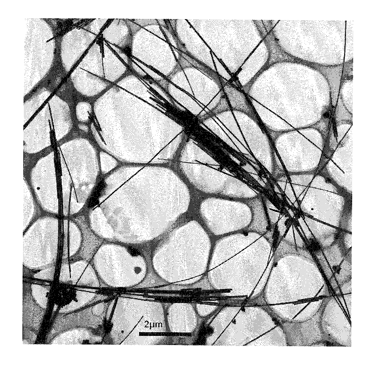 Silver nanowire, production method thereof, and aqueous dispersion