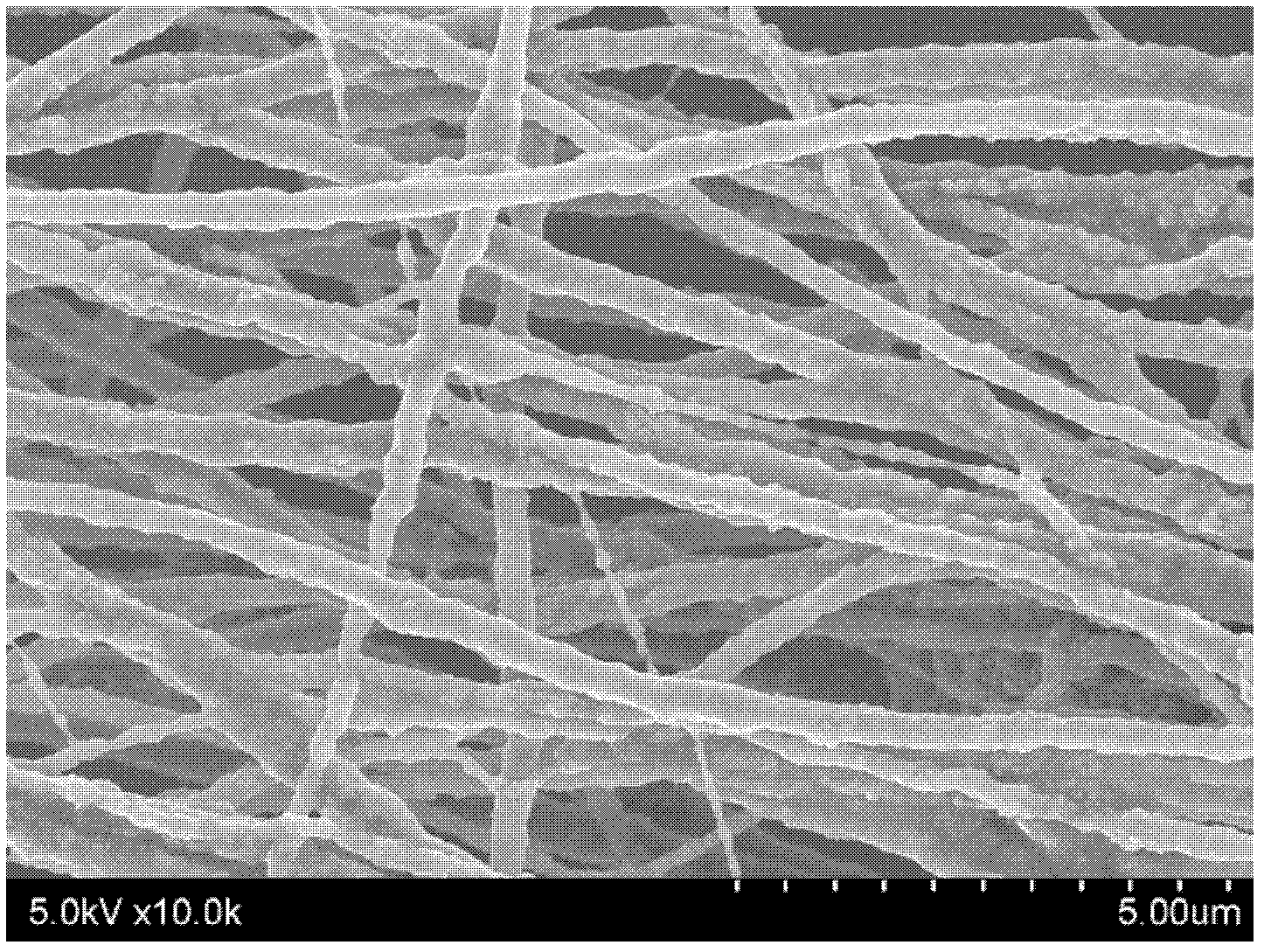 Preparation of cobalt nickel ferrite/ polyvinyl pyrrolidone composite magnetic nano fibers