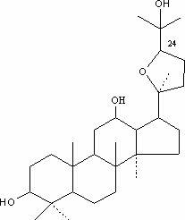 Preparation method of 24(R)-ocotillol DQ and pharmacal application thereof