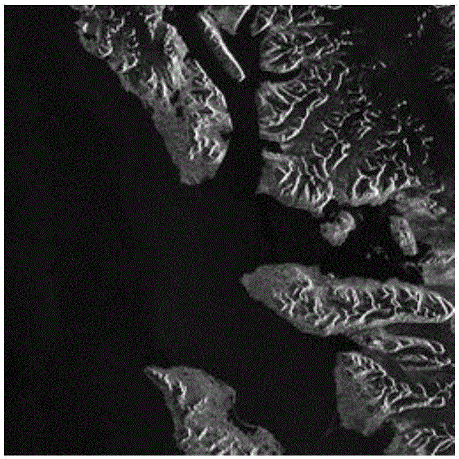 Fused SAR image noise reduction processing method based on dictionary learning