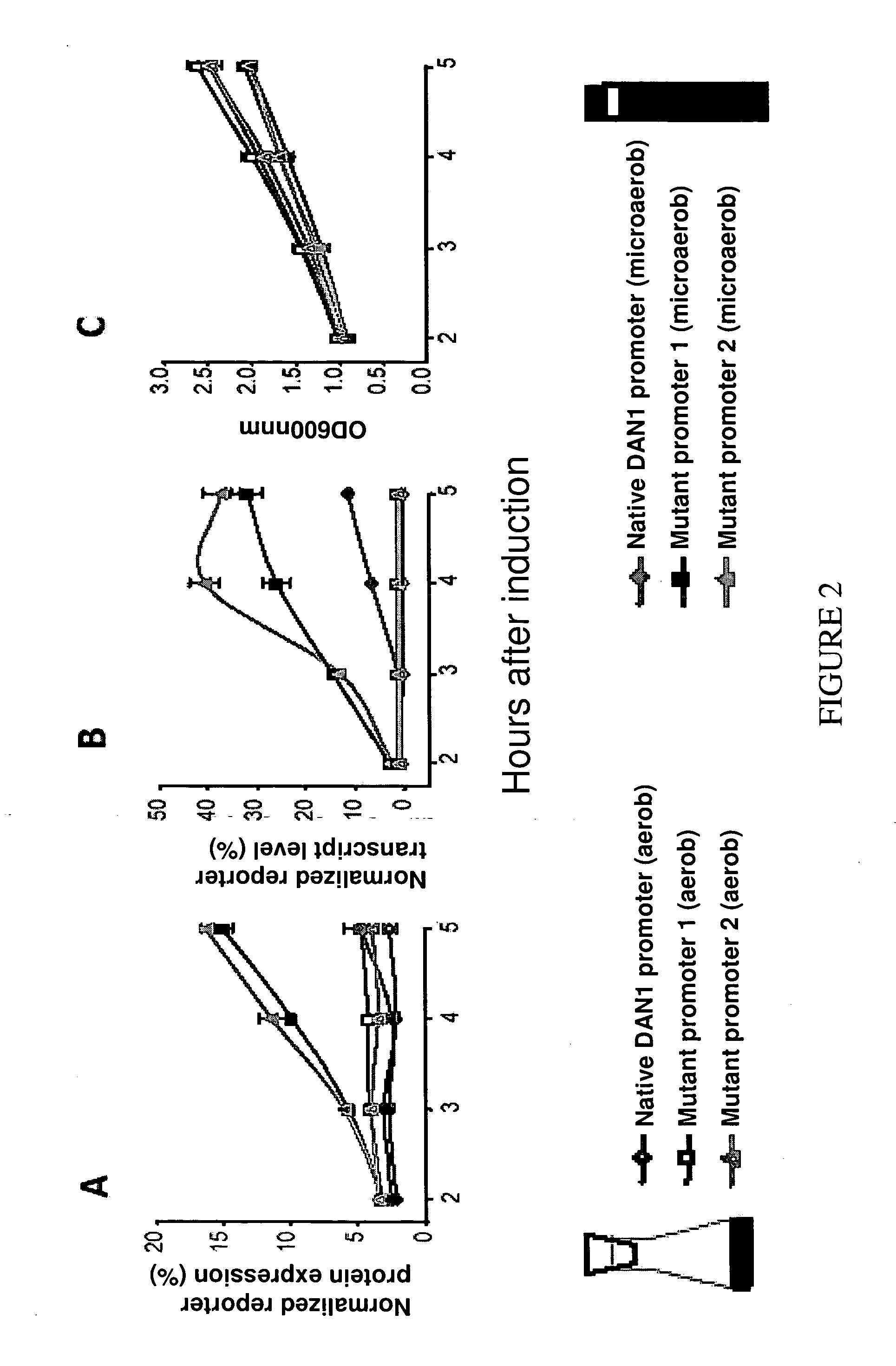 Promoter engineering and genetic control