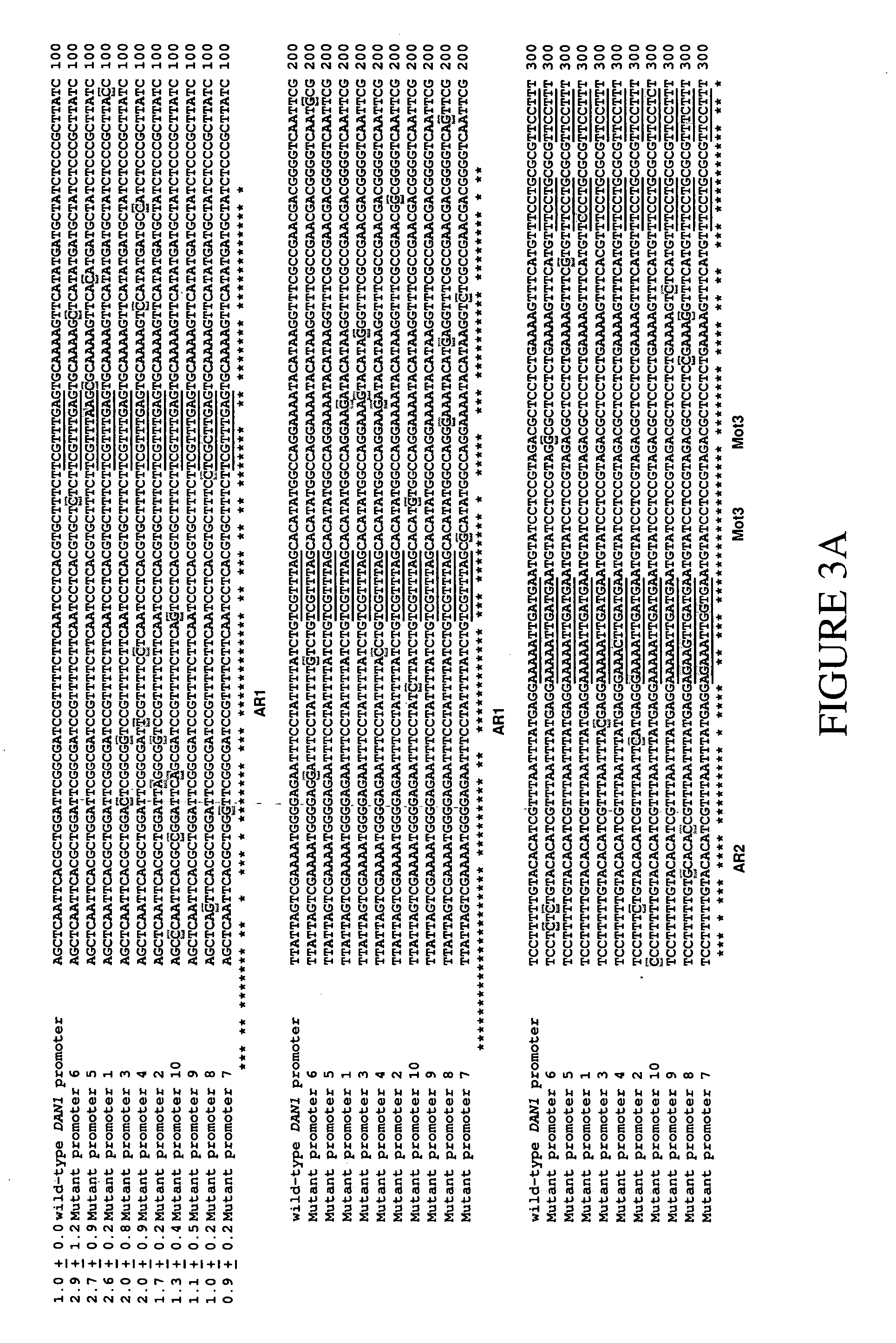 Promoter engineering and genetic control