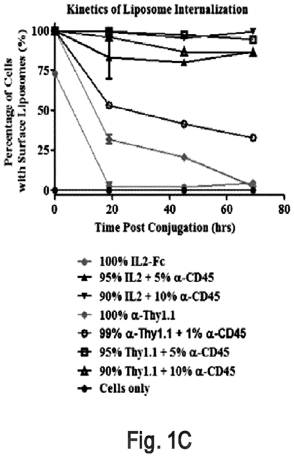 Cell surface coupling of nanoparticles