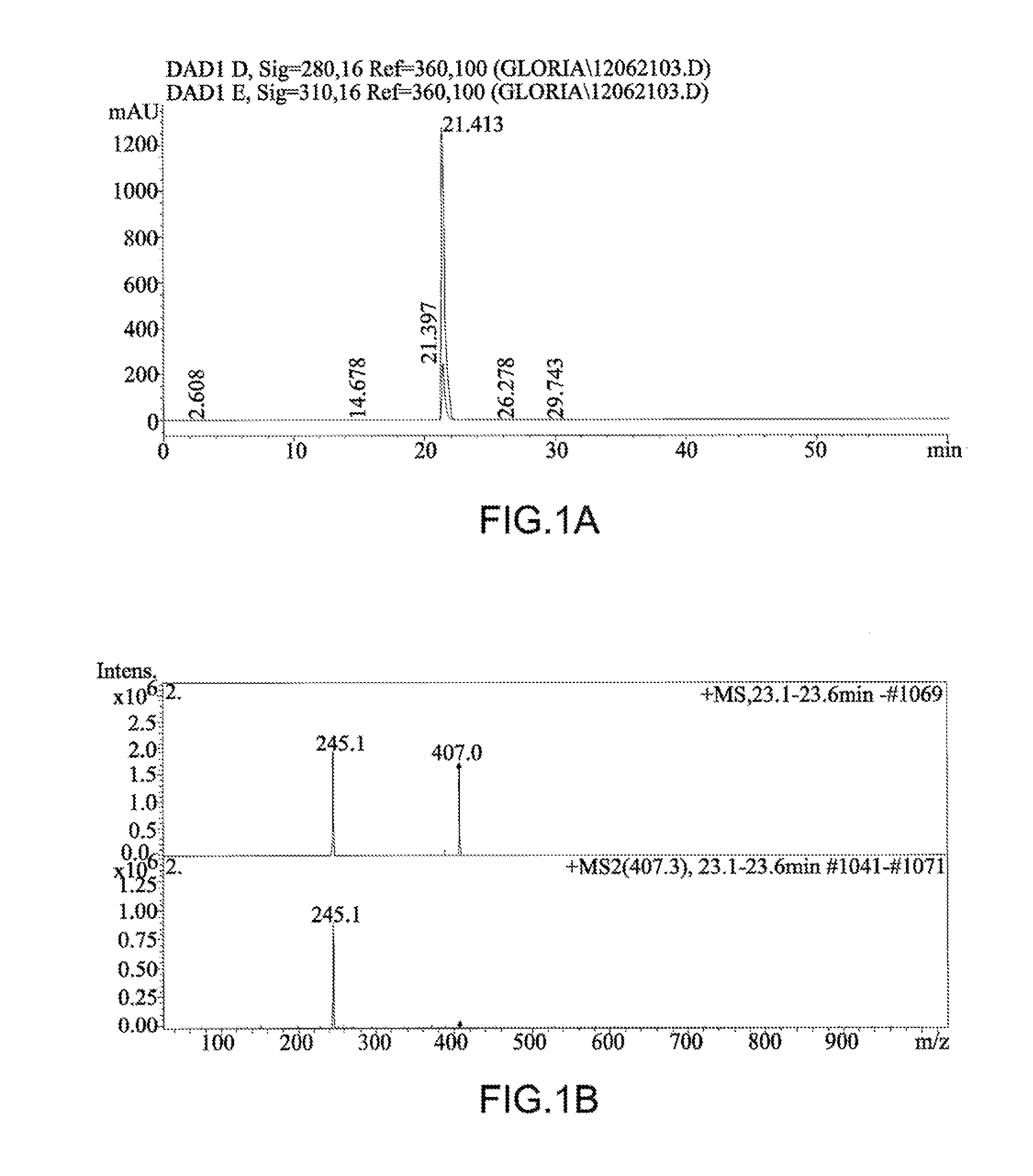 Composition and method for inducing EPO-mediated haemoglobin expression and mitochondrial biogenesis in nonhaematopoietic cell