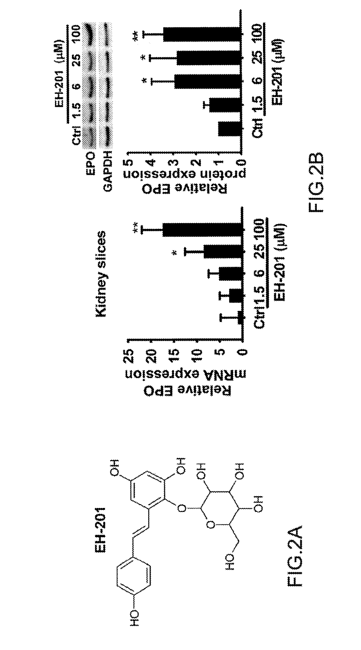 Composition and method for inducing EPO-mediated haemoglobin expression and mitochondrial biogenesis in nonhaematopoietic cell