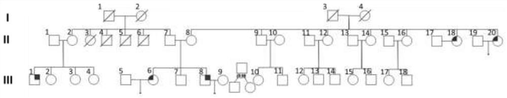 Pathogenic mutation of genetic gametogenesis disorder and detection reagent thereof