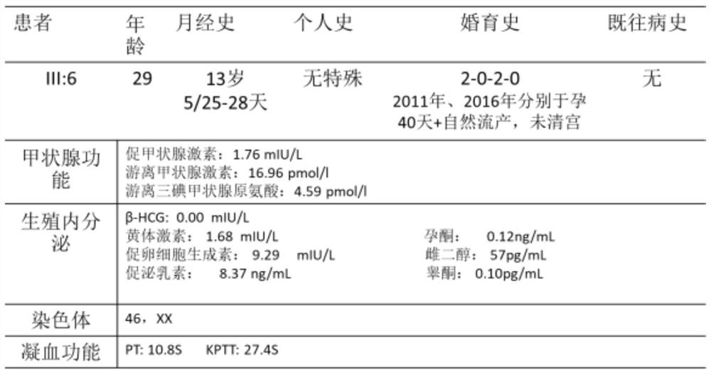 Pathogenic mutation of genetic gametogenesis disorder and detection reagent thereof