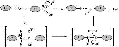 Lactose acidized glycyrrhetinic chitosan material and preparation method and application thereof