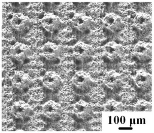 Bionic anti-sticking surface and preparation method thereof