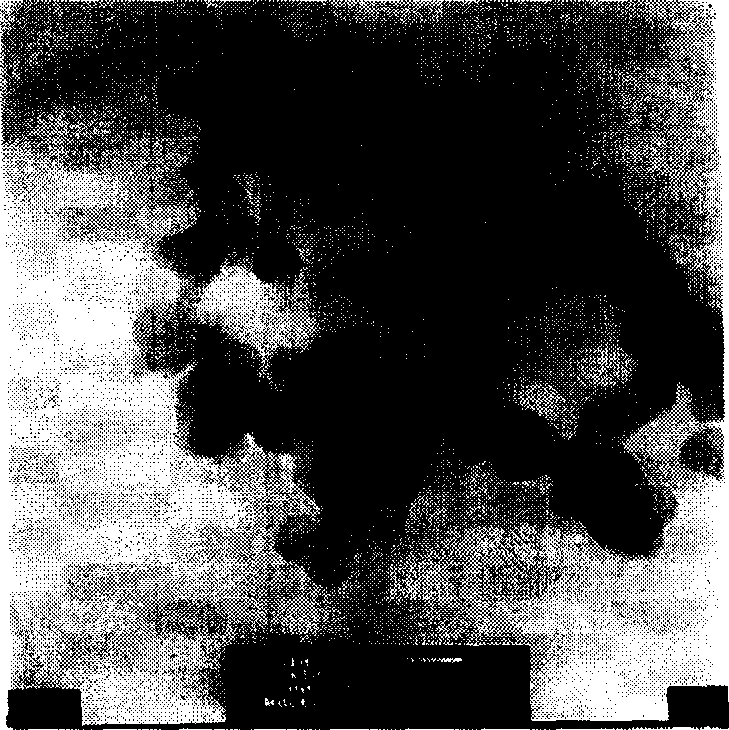 Method for preparing organic aerogel and carbon aerogel by using normal pressure exsiccation