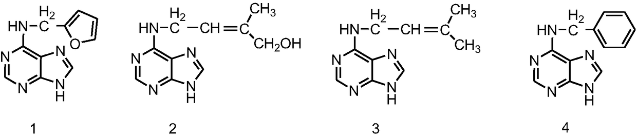 A kind of 6-aminopurine ethylnaphthalene acetate compound and its application as plant growth regulator