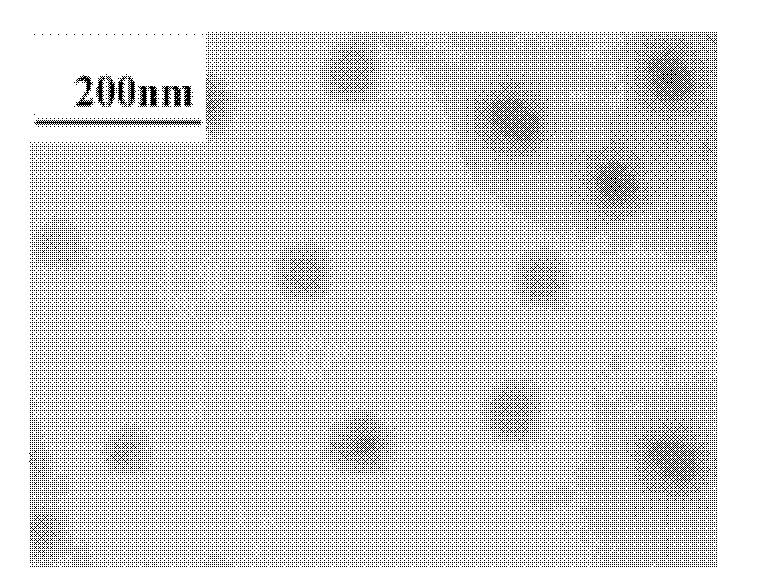 Cigarette filter containing material selectively decreasing biological harm of carbon monoxide (CO) in smoke and preparation method of cigarette filter