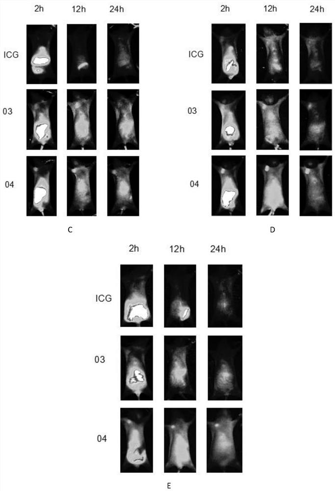 A water-soluble heptamethine near-infrared dye with tumor targeting and its application