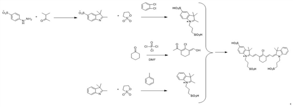 A water-soluble heptamethine near-infrared dye with tumor targeting and its application