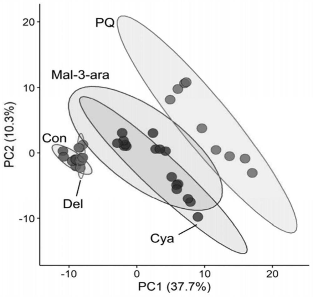 Biological metabonomics analysis method for screening antioxidant active substances