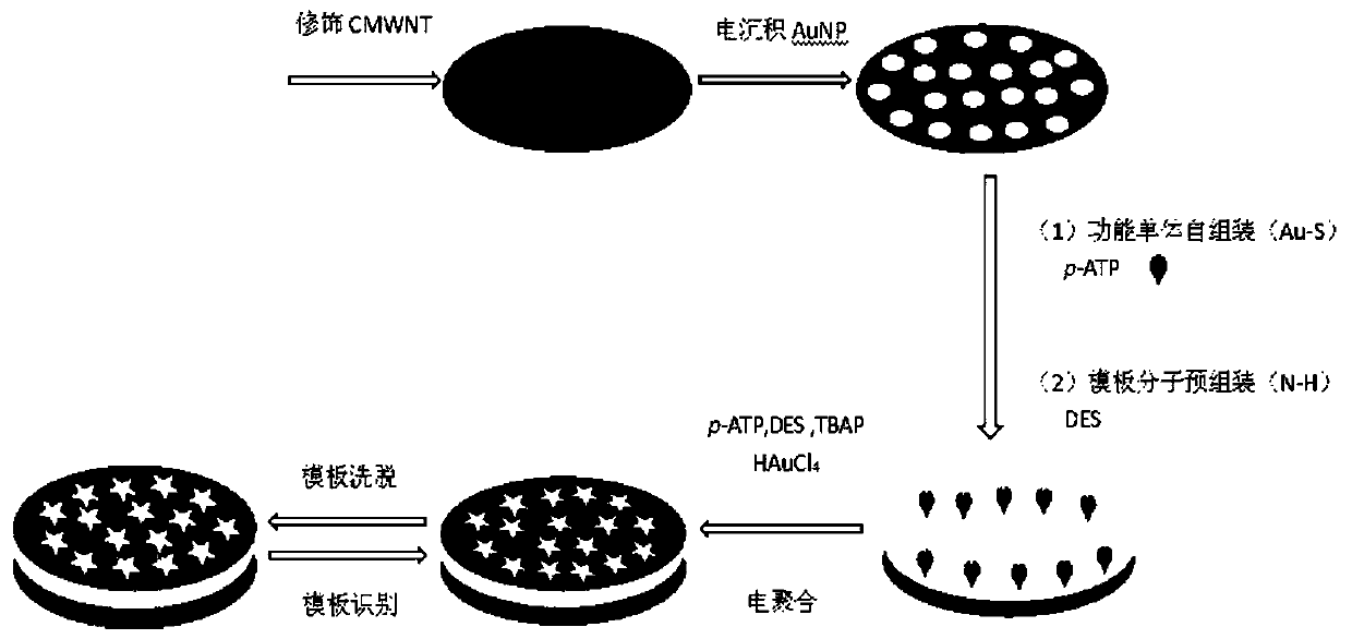 Preparation method and application of diethylstilbestrol molecularly imprinted electrochemical sensor based on electropolymerization p-mercaptoaniline membrane