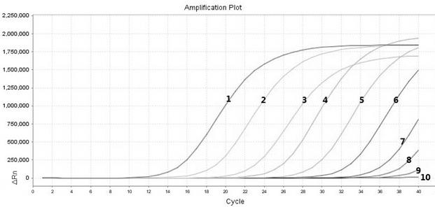 Real-time fluorescent quantitative PCR (polymerase chain reaction) detecting reagent kit for orf virus