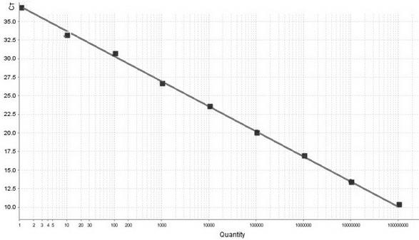 Real-time fluorescent quantitative PCR (polymerase chain reaction) detecting reagent kit for orf virus