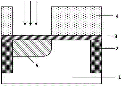 Tunneling Field Effect Transistor with Suppressed Output Nonlinear Turn-on and Preparation Method thereof