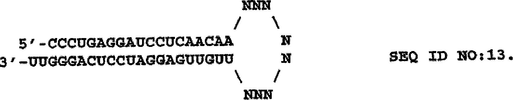 Rnai-mediated inhibition of ocular hypertension targets