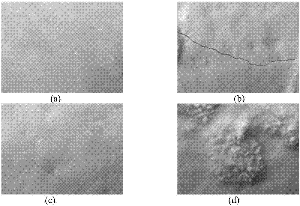 Modified phosphate cement-based fireproof coating material and preparation method thereof