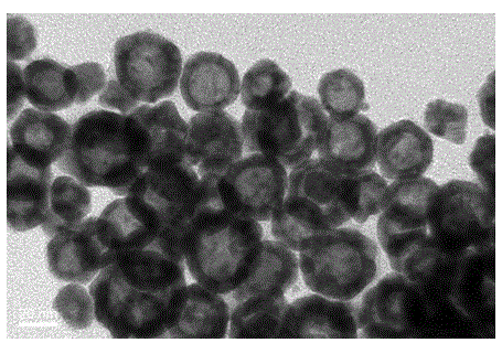 Hollow gold nanoparticle-DNA composite base and preparation method thereof