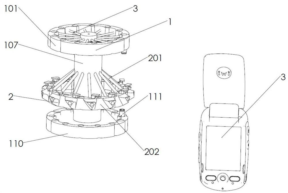 Detection device for conopomorpha sinensis and use method