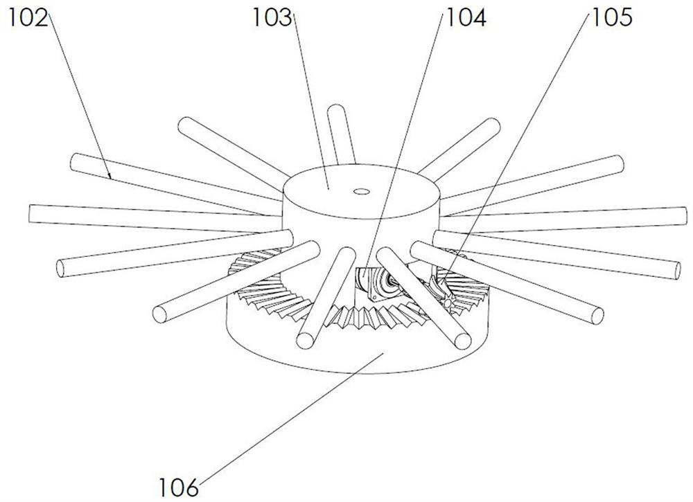 Detection device for conopomorpha sinensis and use method