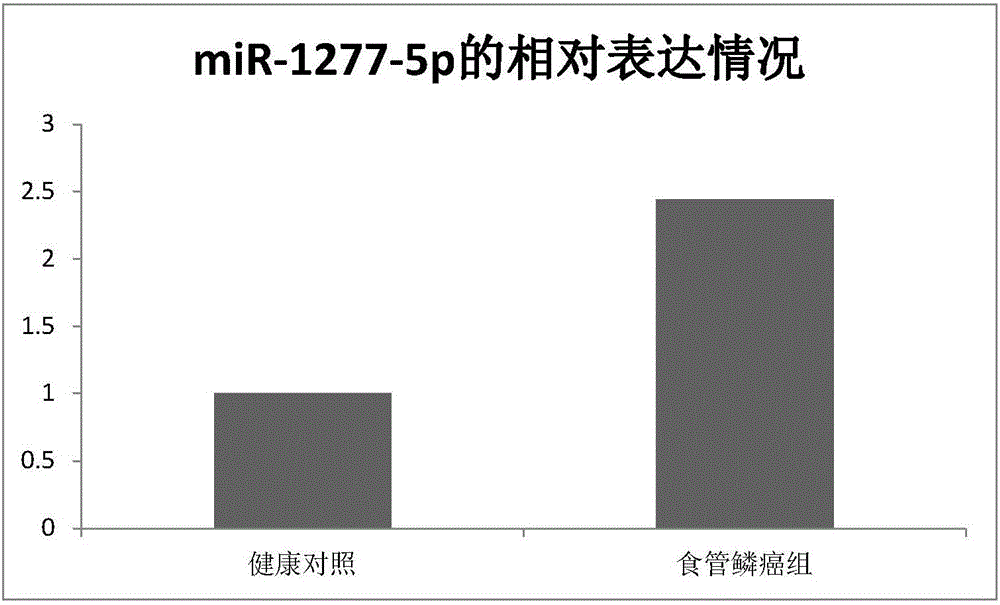 Early molecular diagnosis marker for esophageal squamous cell carcinoma and application of marker