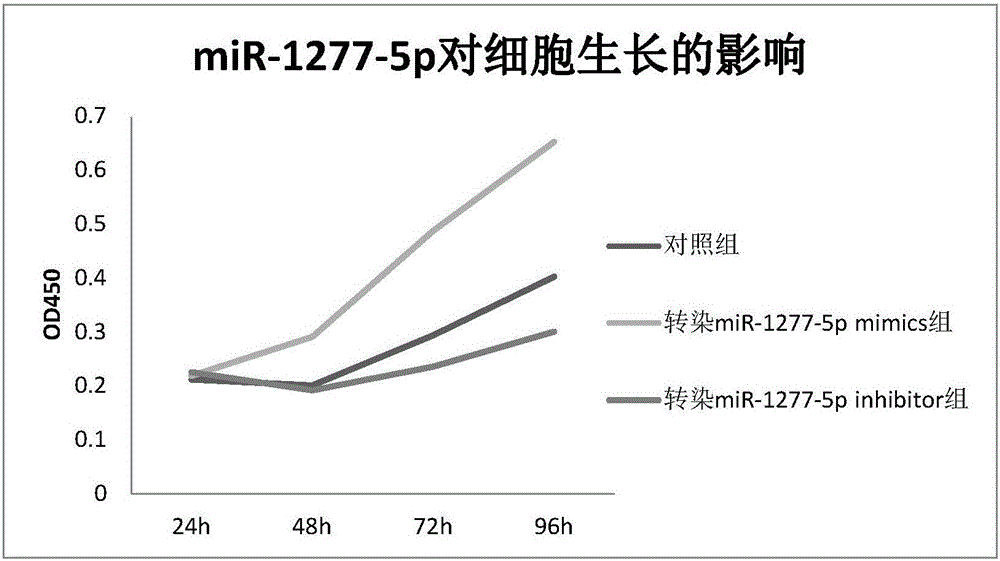 Early molecular diagnosis marker for esophageal squamous cell carcinoma and application of marker